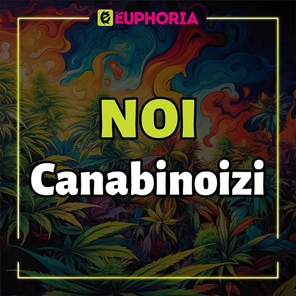 Banner colorat cu textul 'NOI Canabinoizi' de la E-Euphoria, cu frunze de canabis și un fundal psihodelic