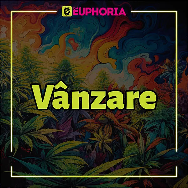 Banner colorat cu textul 'Vânzare' de la E-Euphoria, cu frunze de canabis și un fundal psihodelic